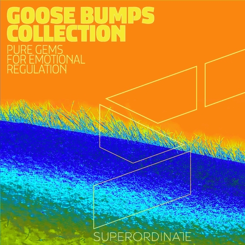 VA - Goose Bumps Collection, Vol. 10 [SUPER509]